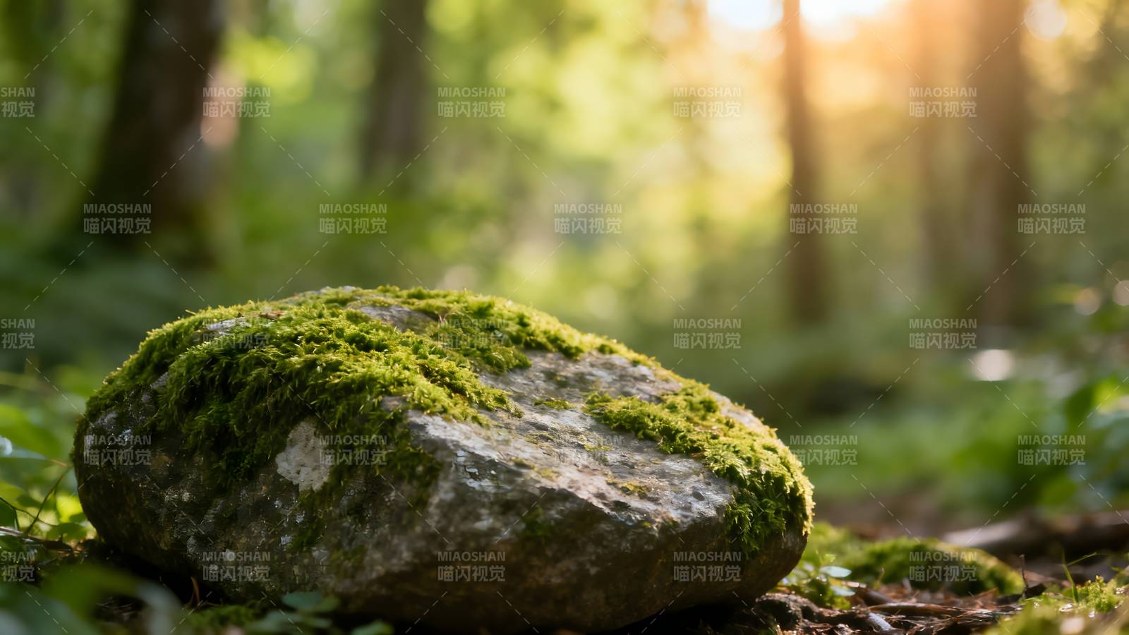 林间青苔石图片
