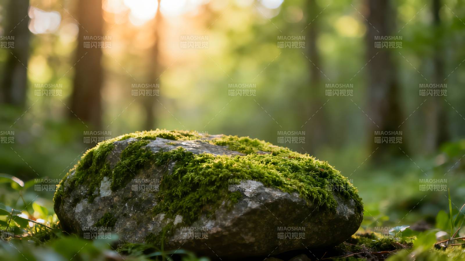 林间青苔石图片