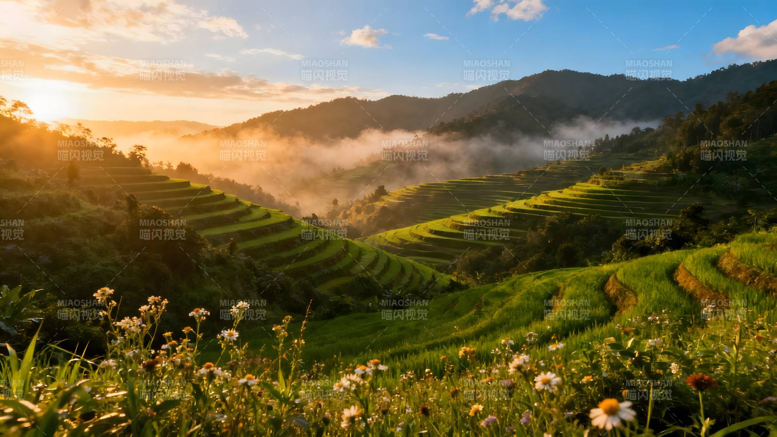 梯田晨曦图片