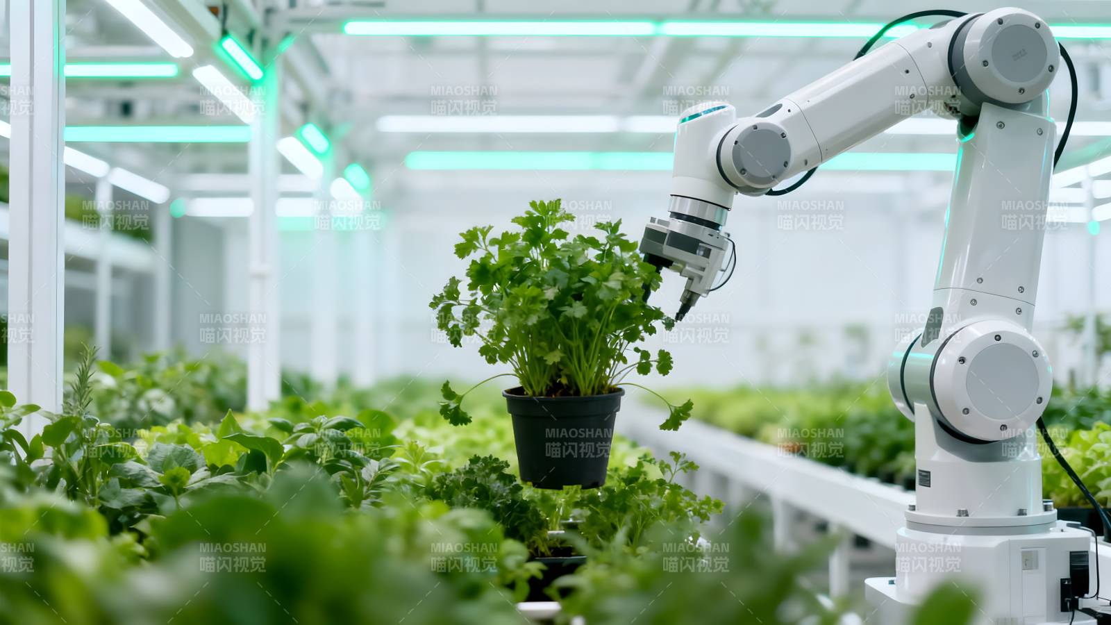 智能农业机器人图片