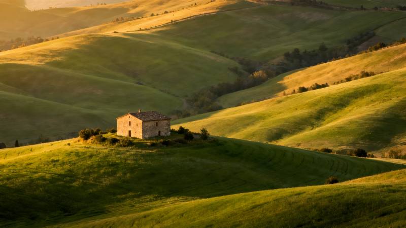 丘陵上的孤屋图片