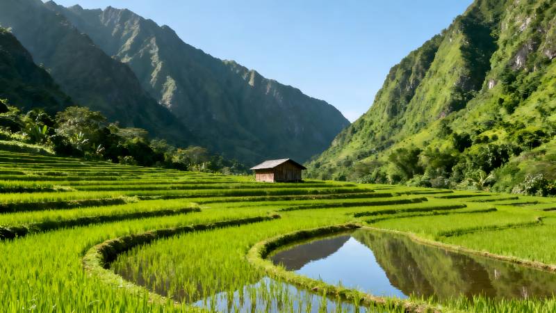 梯田山水画图片