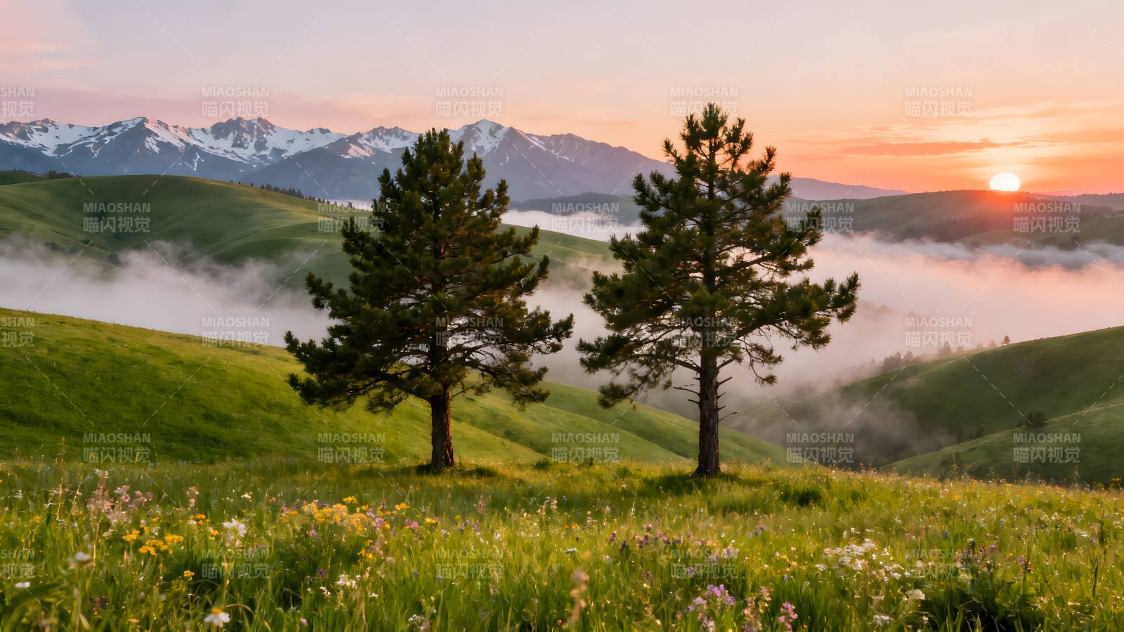 晨雾山间松影图片