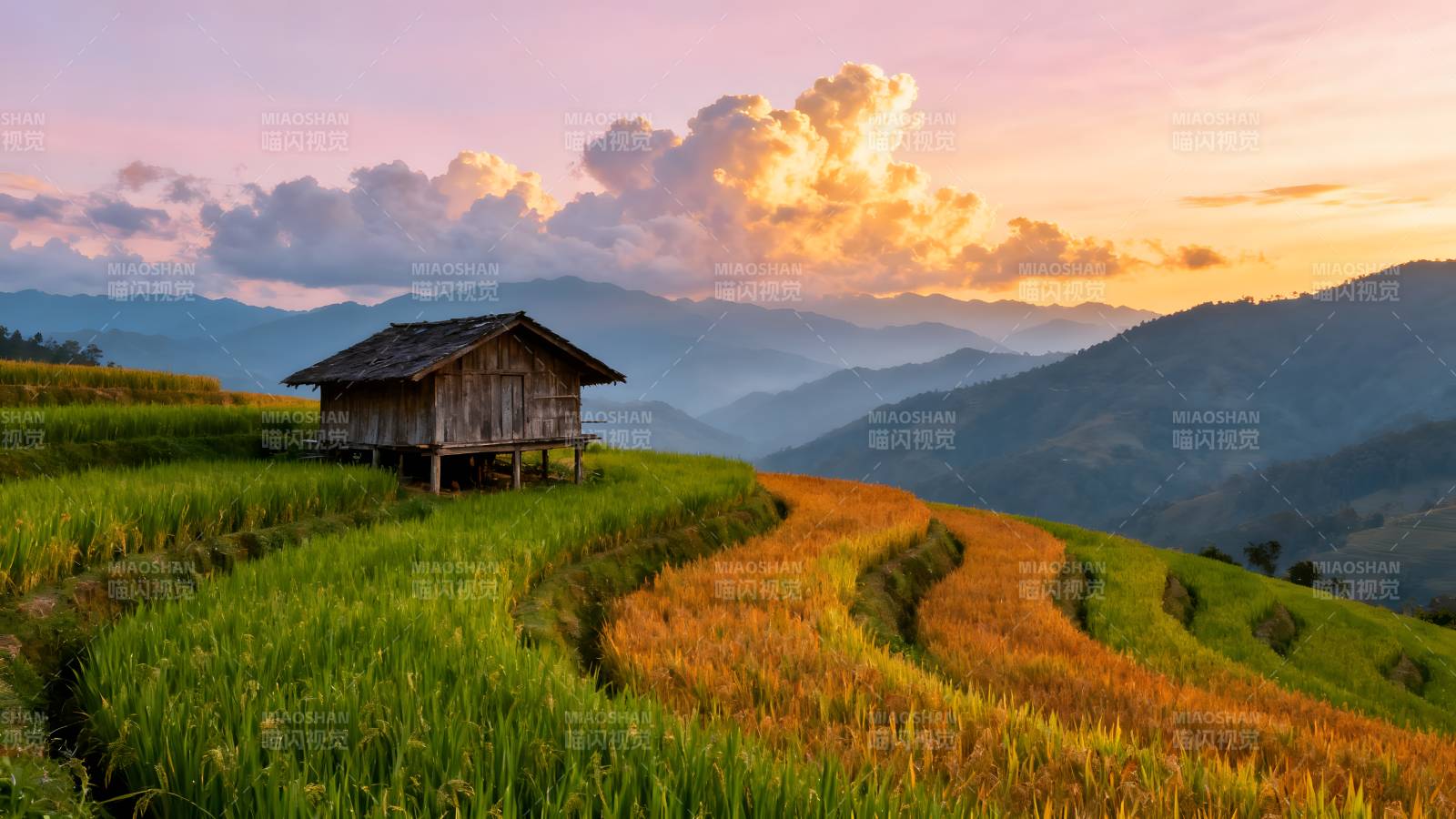 梯田晨曦小屋图片