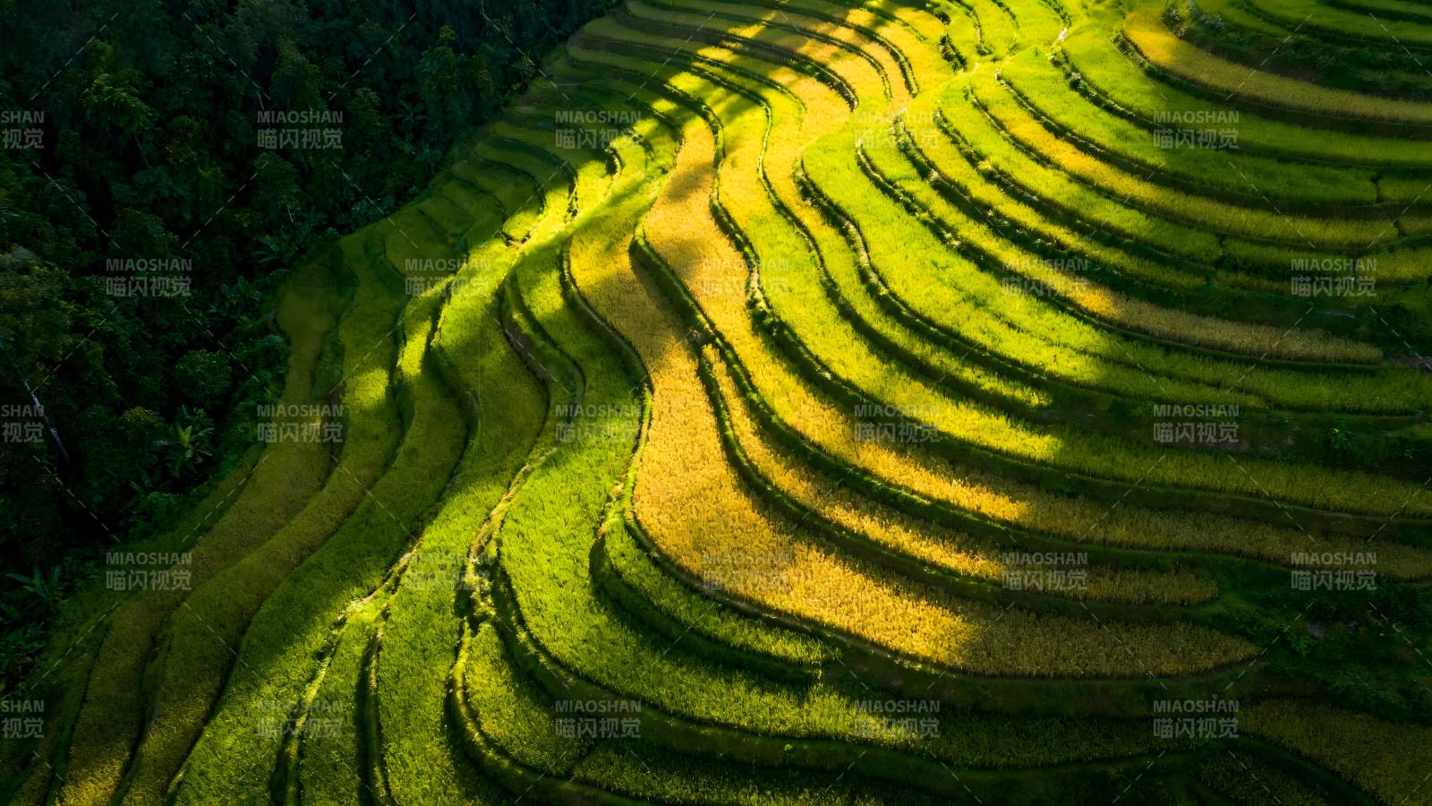 梯田风光图片