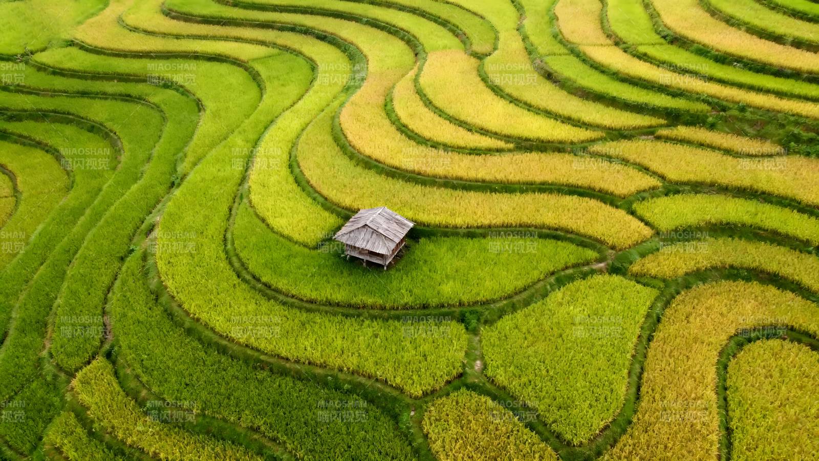 梯田上的小屋图片