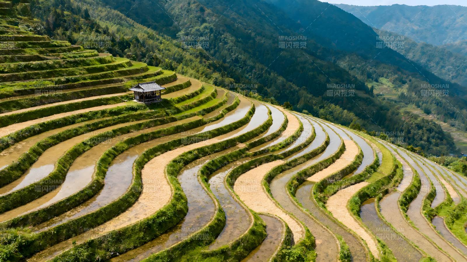 梯田风光图片