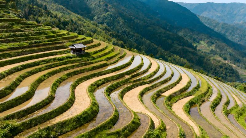 梯田风光图片