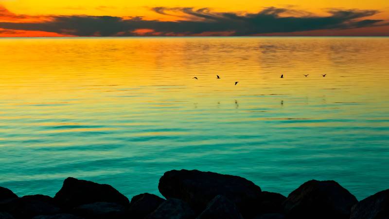 夕阳湖影鸟飞图片