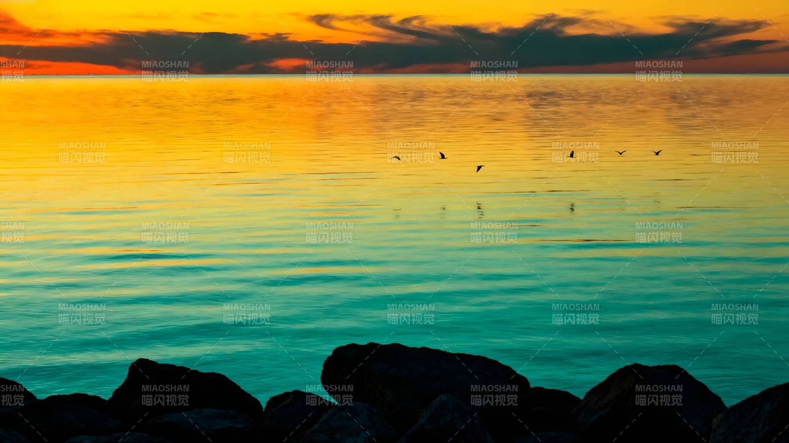 夕阳湖影鸟飞图片