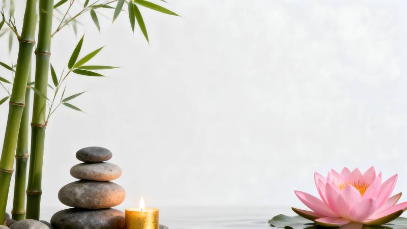 竹影石静莲花香图片