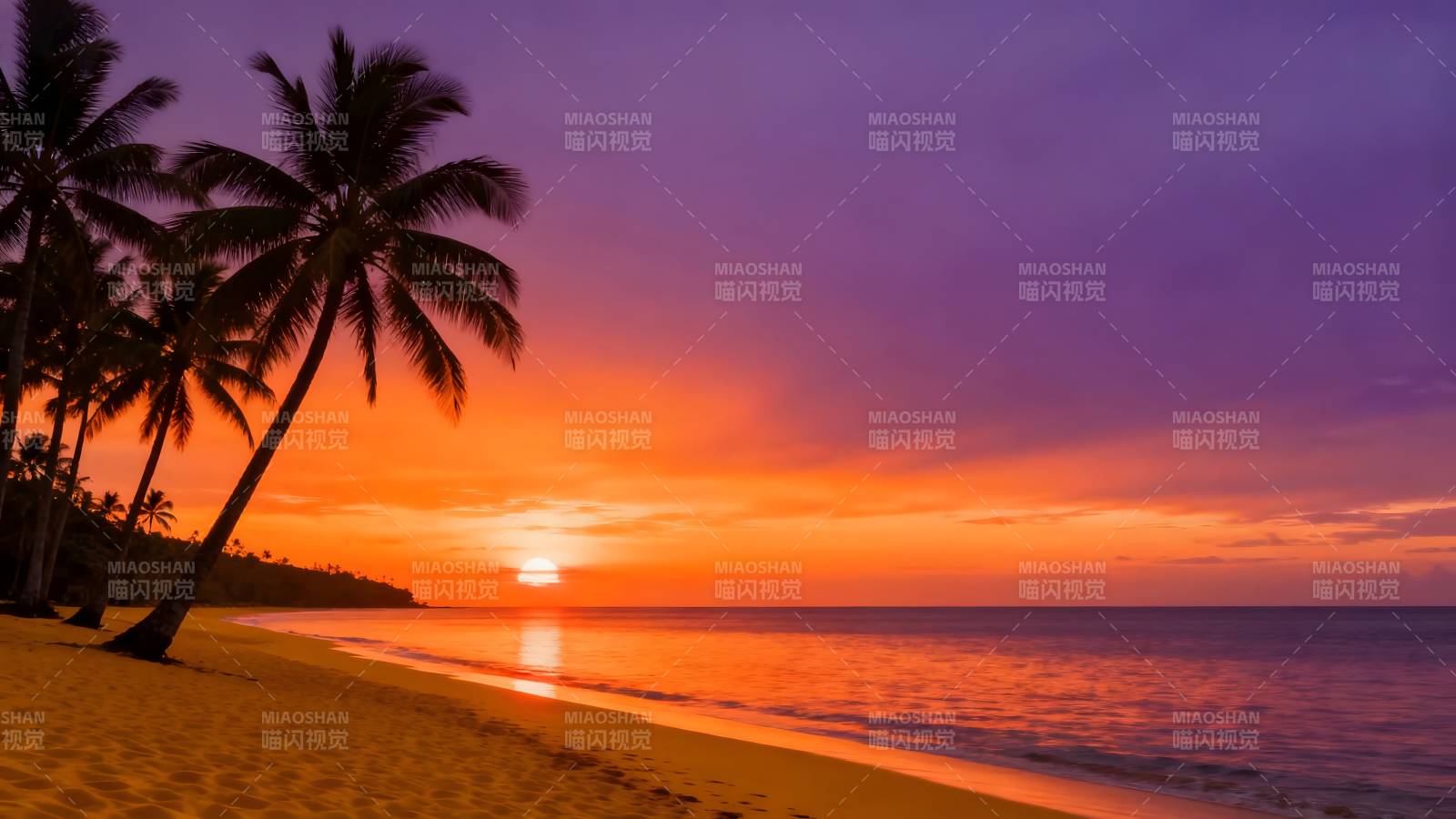 椰林日落美景图片
