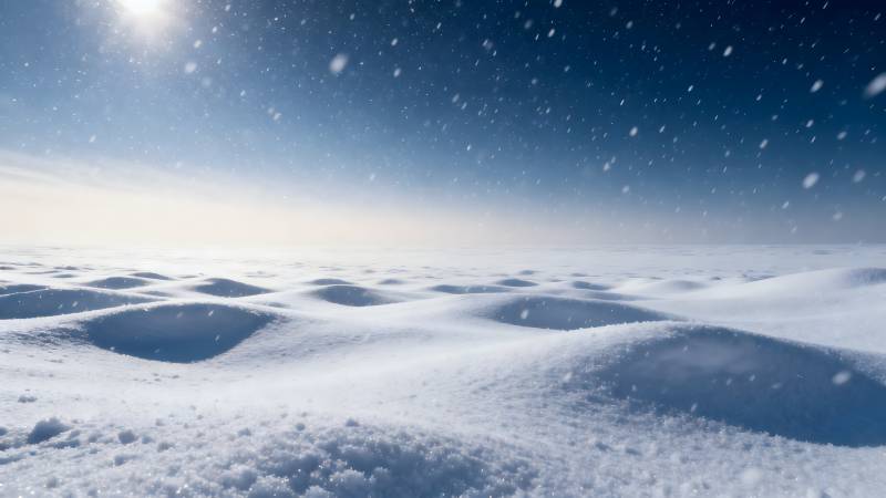 雪原上的宁静时刻图片