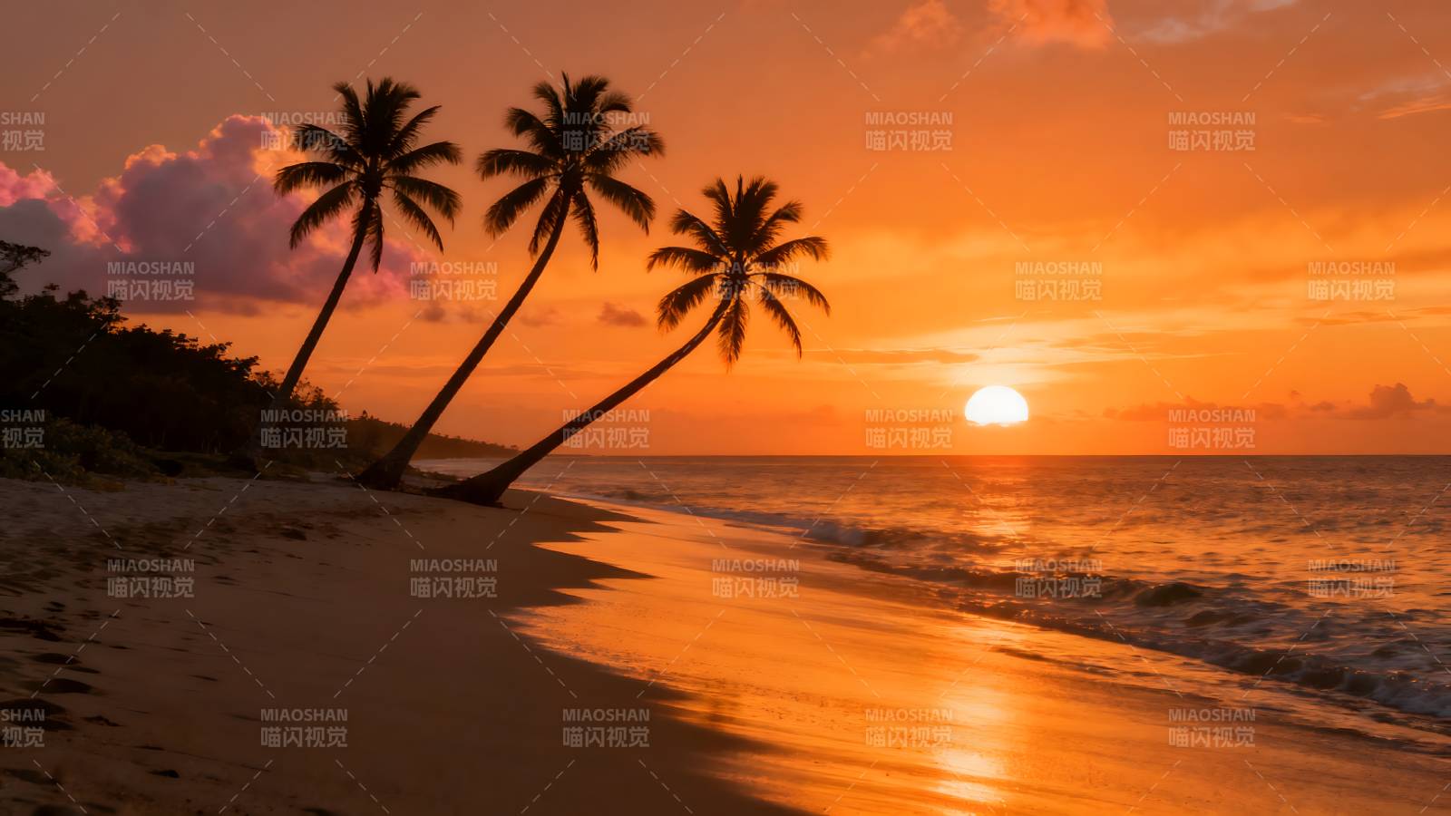 椰林晚照 海天一色图片