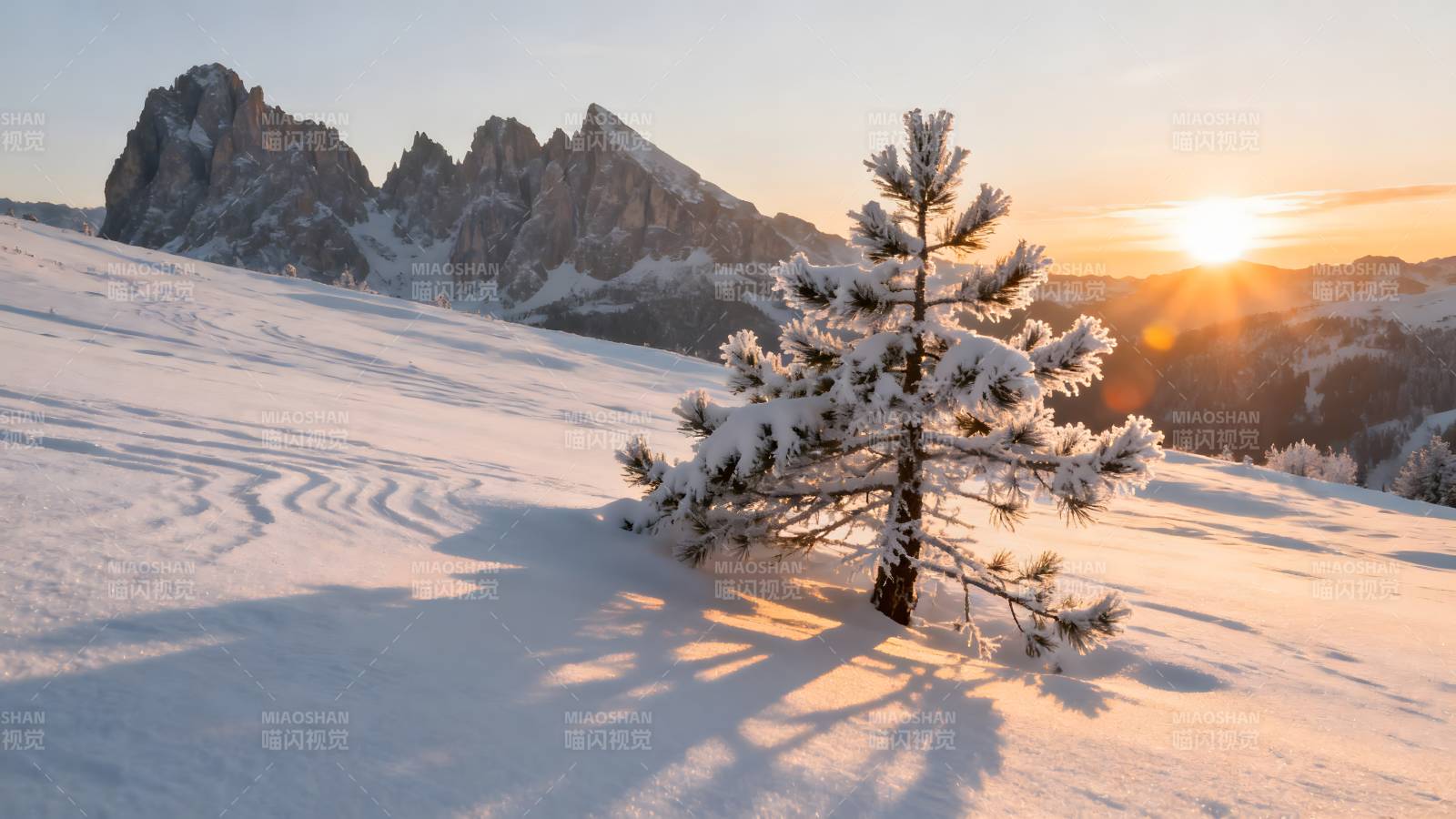 雪松映日 山影如画图片