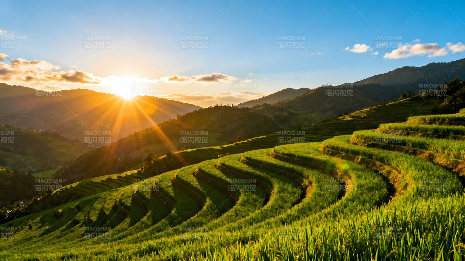 梯田日出美景图片