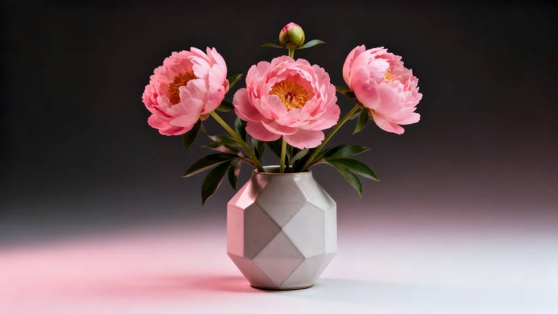 粉花静谧绽放图片