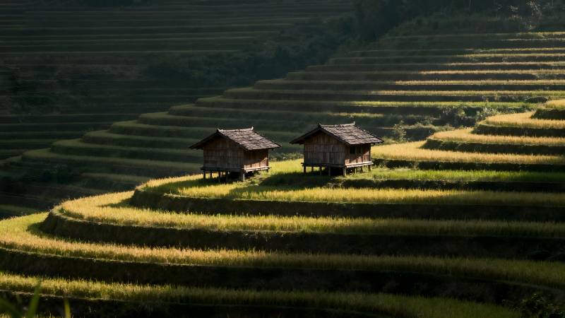梯田上的小屋图片