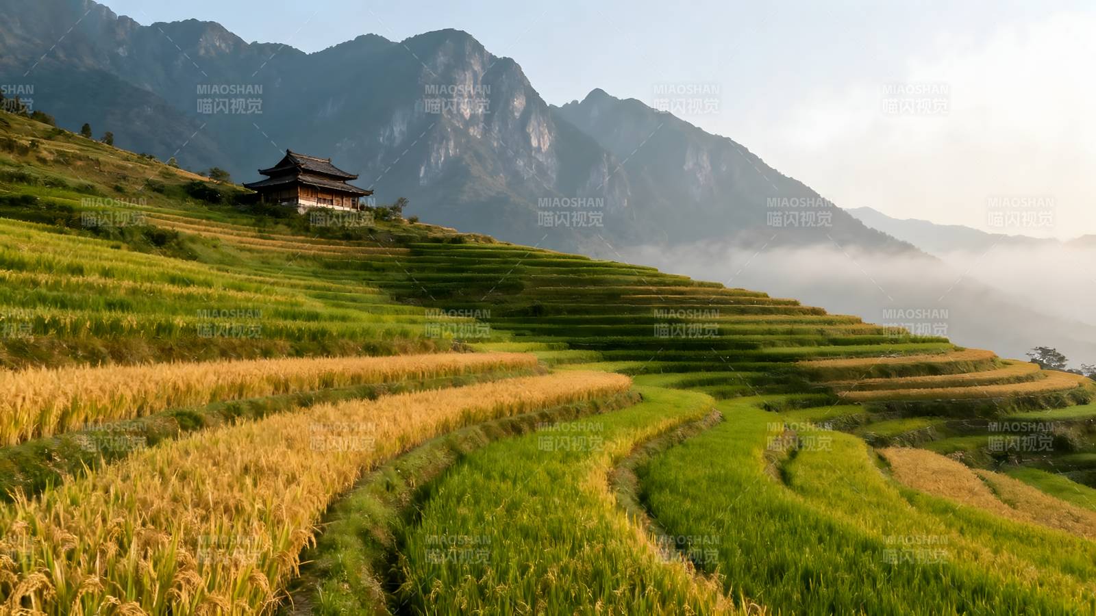 梯田晨雾山居图图片