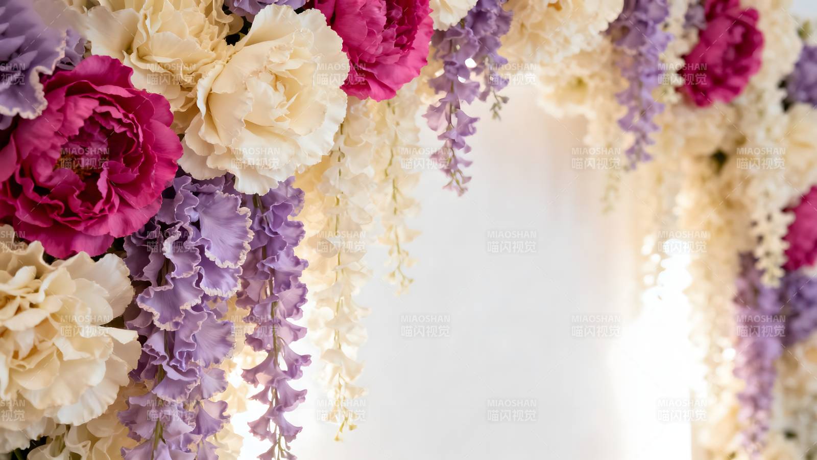 花墙绽放美丽瞬间图片