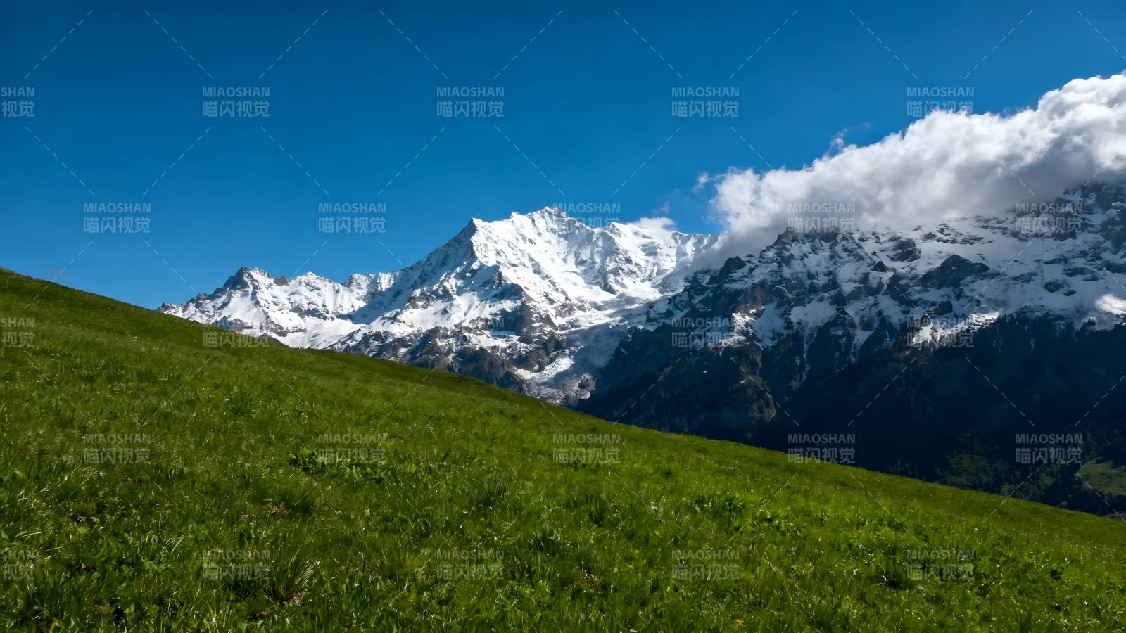 雪山绿野风光图片