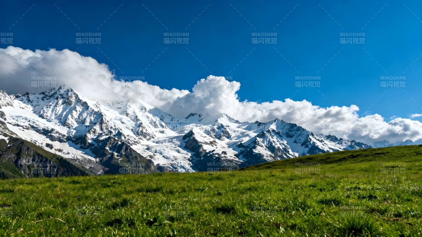 雪山绿野风光图片