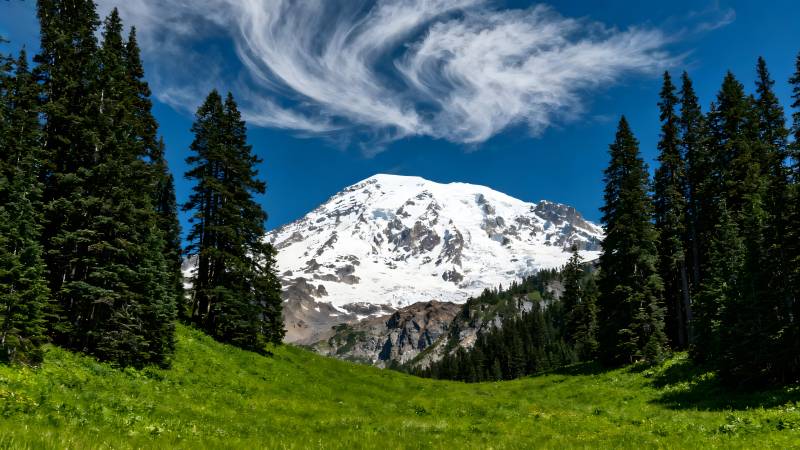 雪山绿野风光图片
