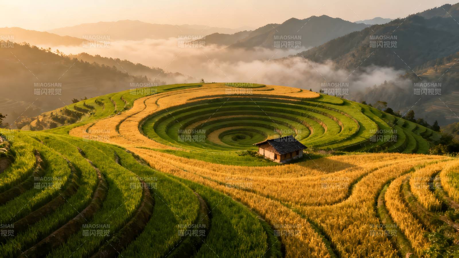 梯田晨曦图片