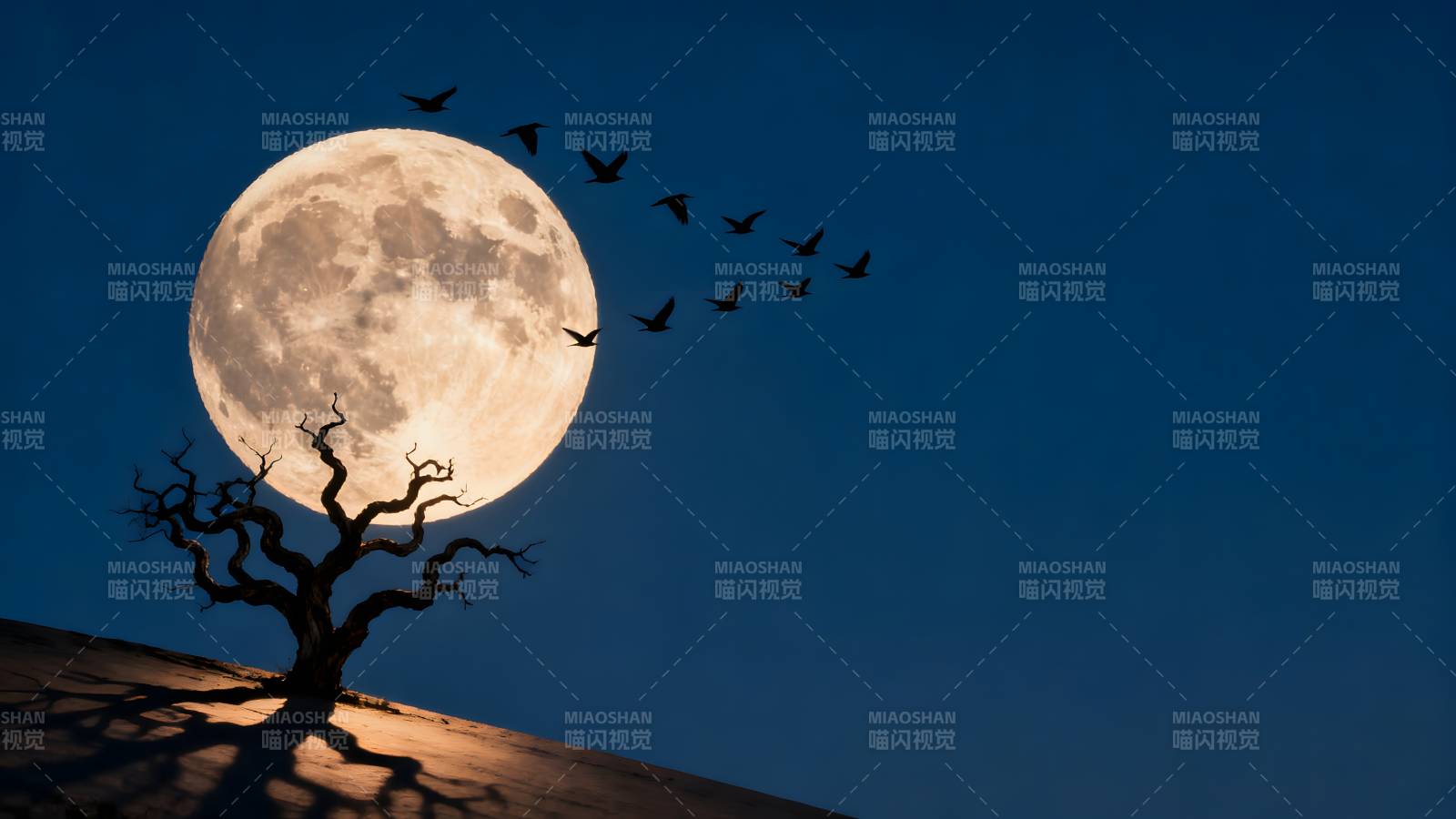 月夜孤树飞鸟图片