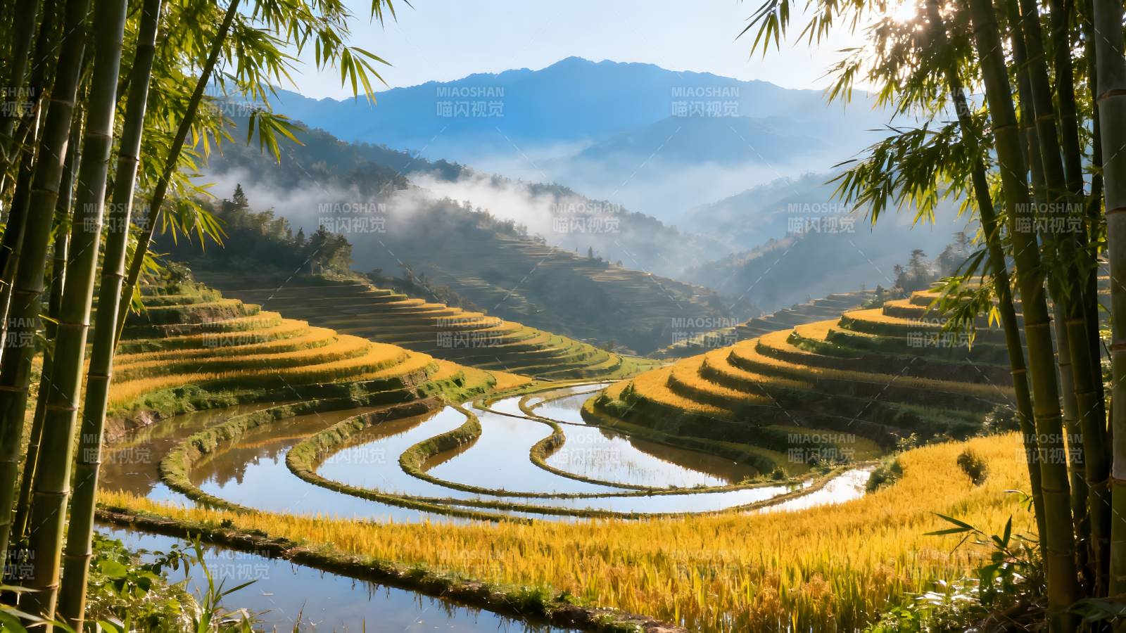 梯田晨雾竹影图片