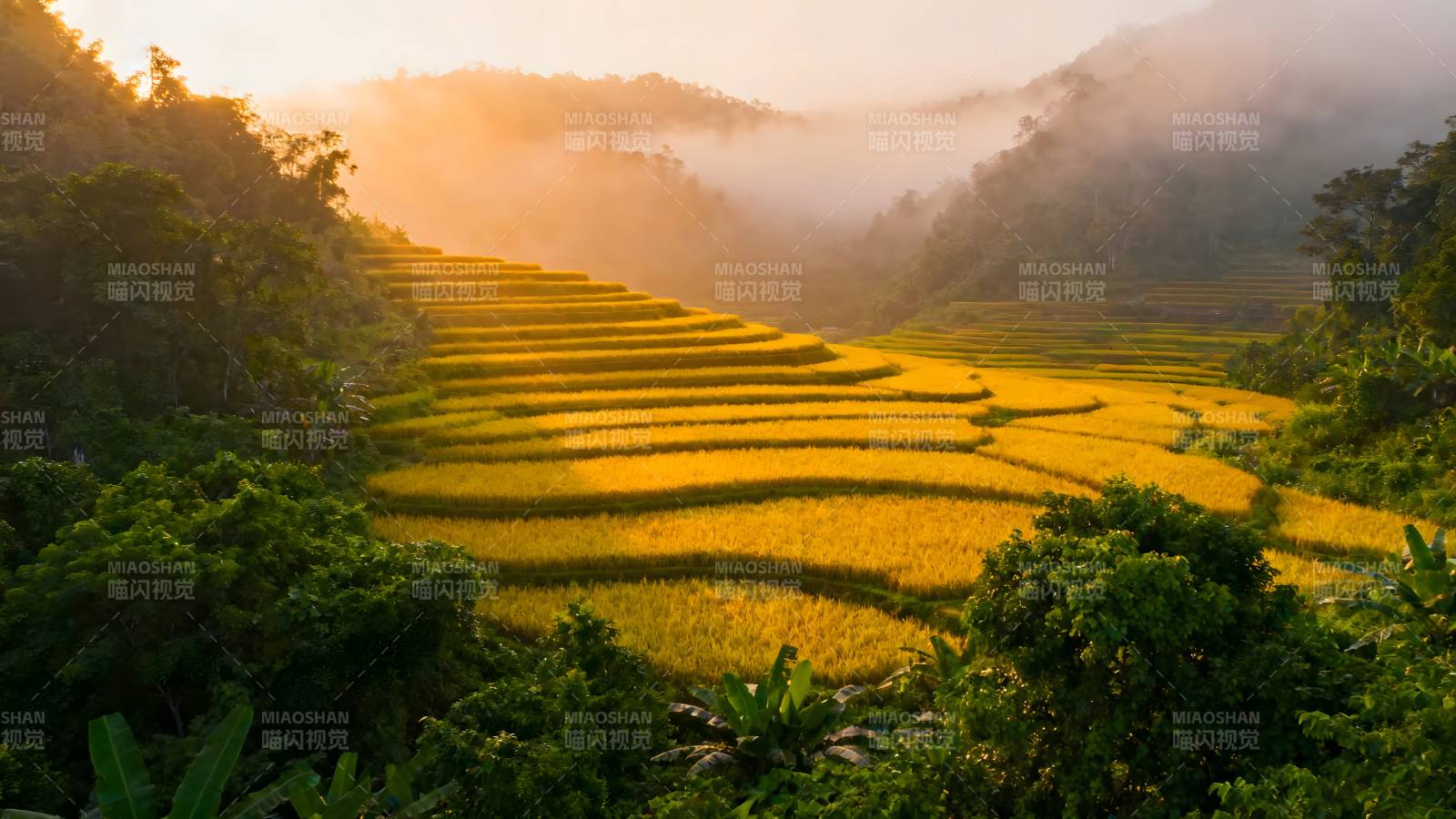 梯田晨曦图片
