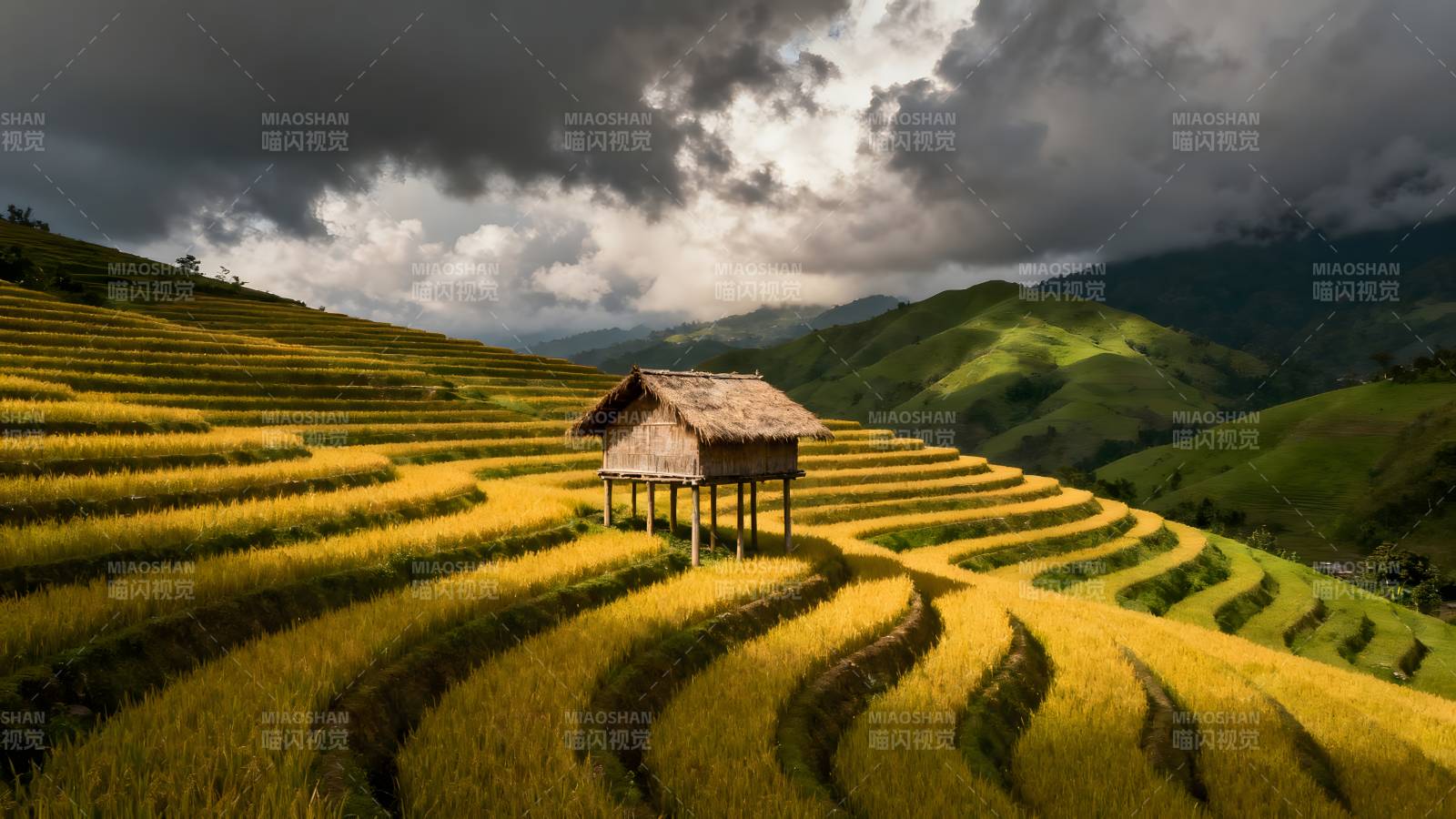 梯田上的小屋图片