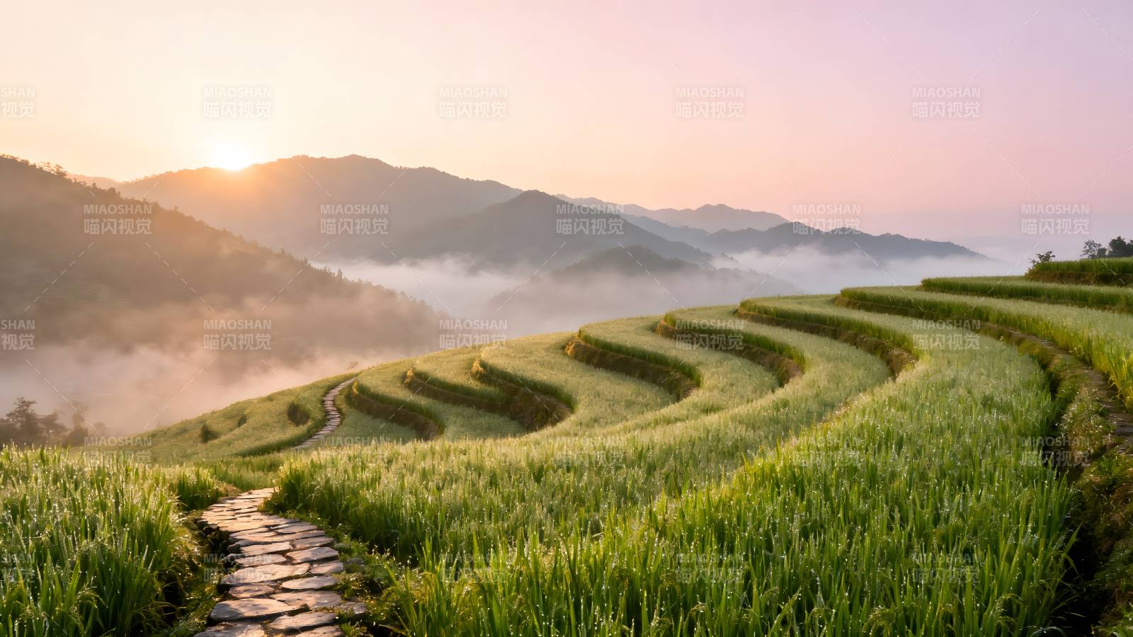 梯田晨曦图片