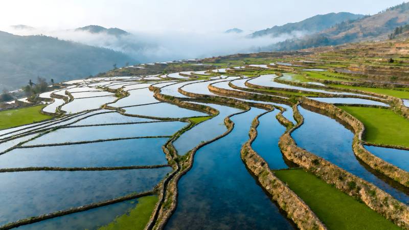 梯田如画图片