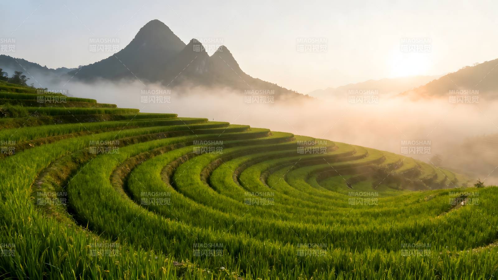 梯田晨雾山影图片