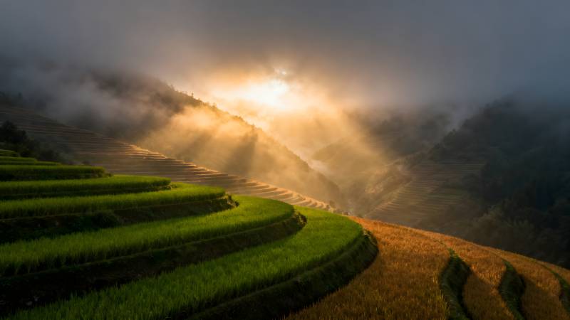 梯田晨光图片