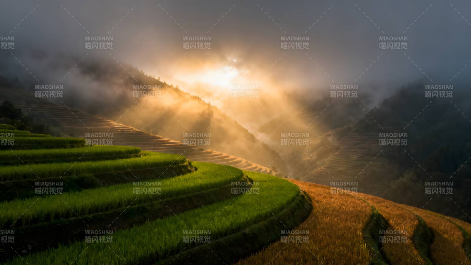 梯田晨光图片