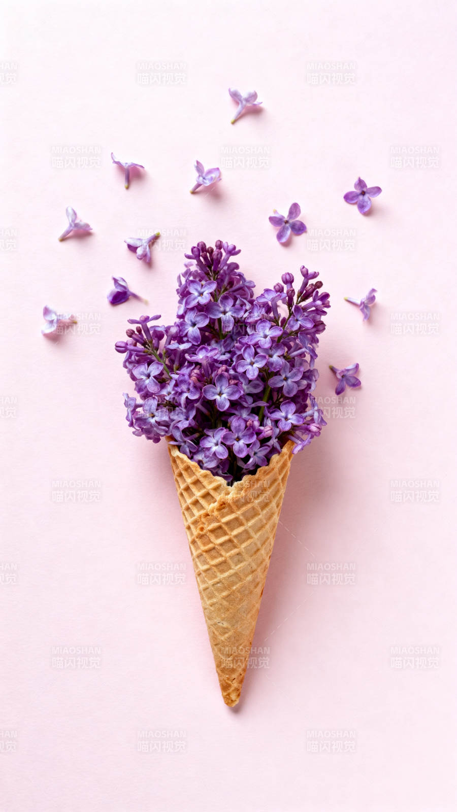 紫花冰激凌锥图片