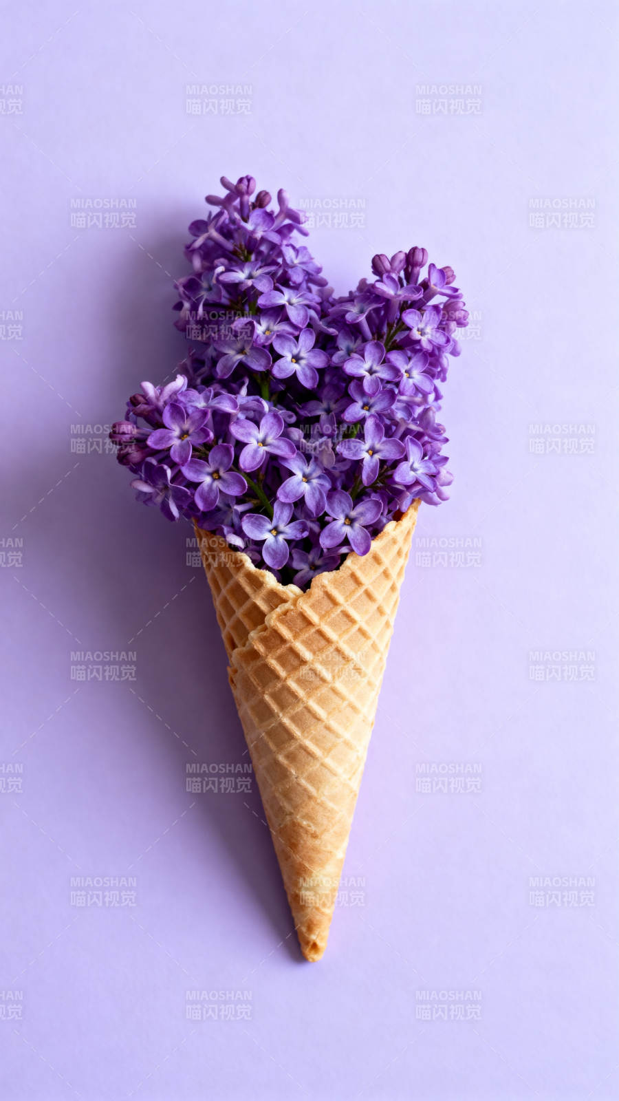 紫花冰激凌锥图片