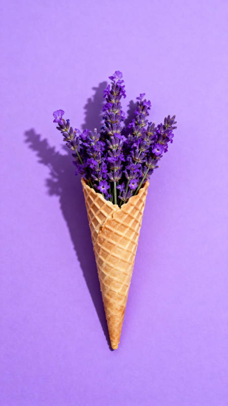 紫花冰激凌锥图片