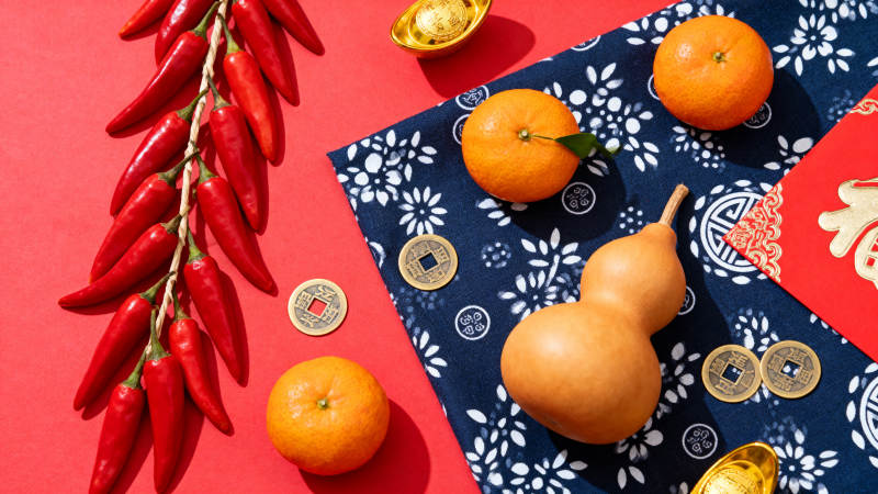 新春吉祥物摆拍图片