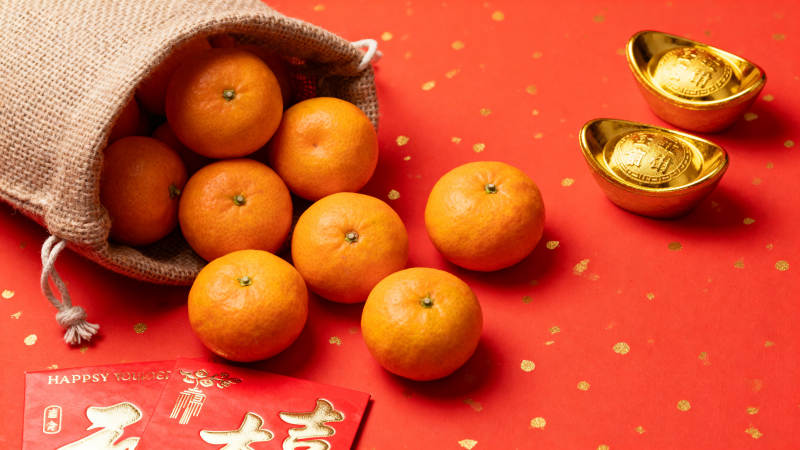 新春橙福金元宝图片