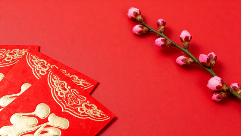 红梅喜庆迎新春图片