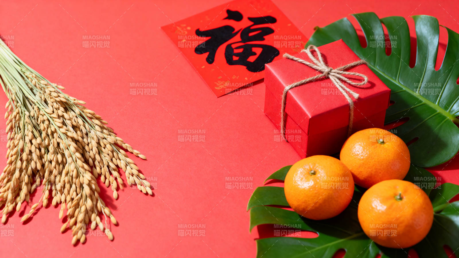 新春福满堂图片