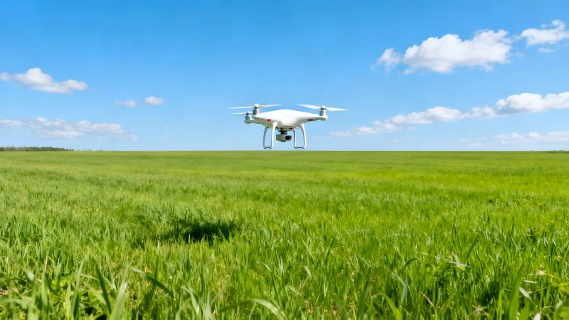 无人机飞越绿野图片