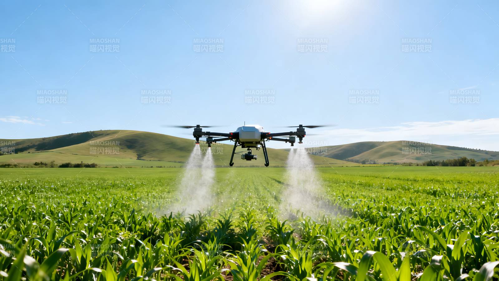 无人机喷洒农田图片