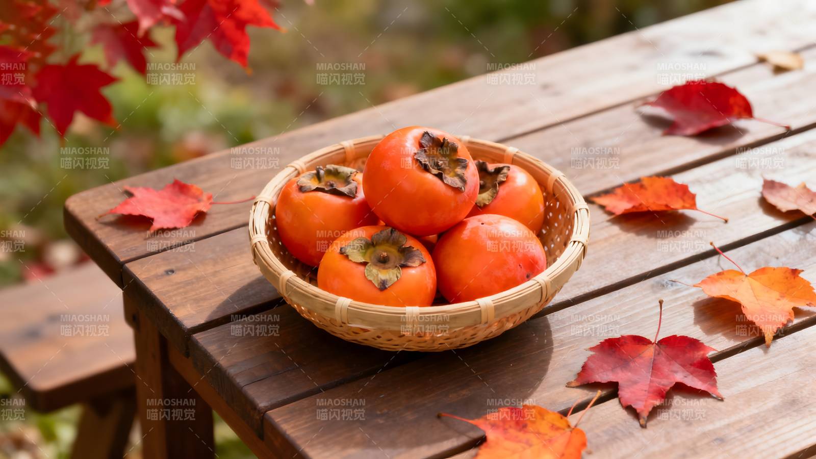 秋日柿子静景图片