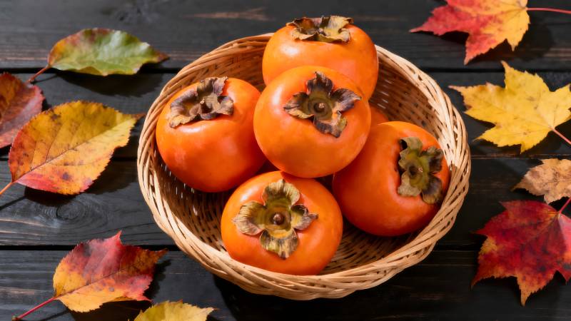 秋日柿子篮图片