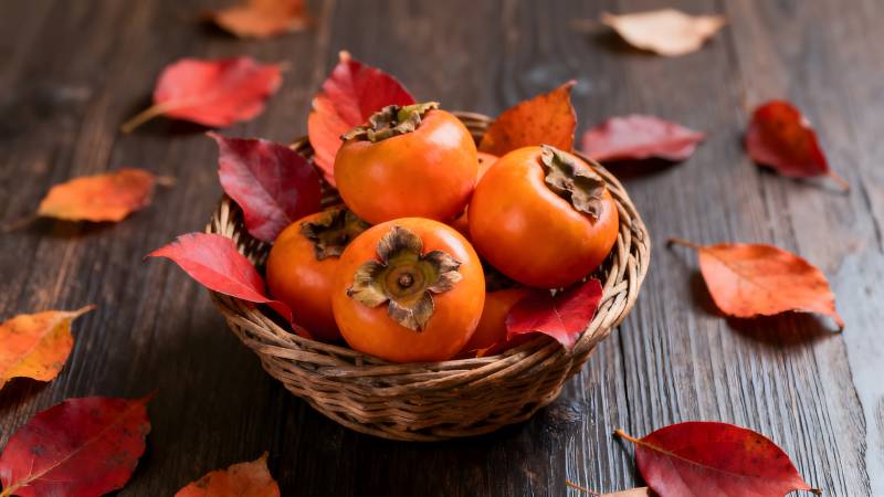 秋日柿子篮图片