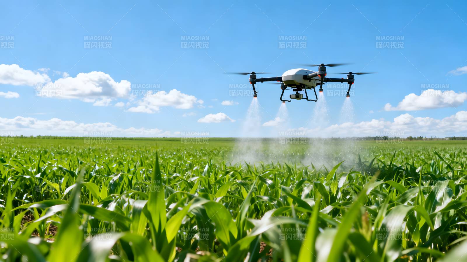 无人机喷洒农田图片